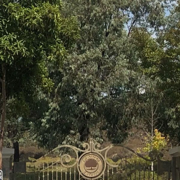 gate-entrance