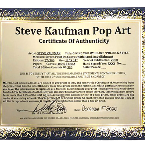 steve-kaufman-certification